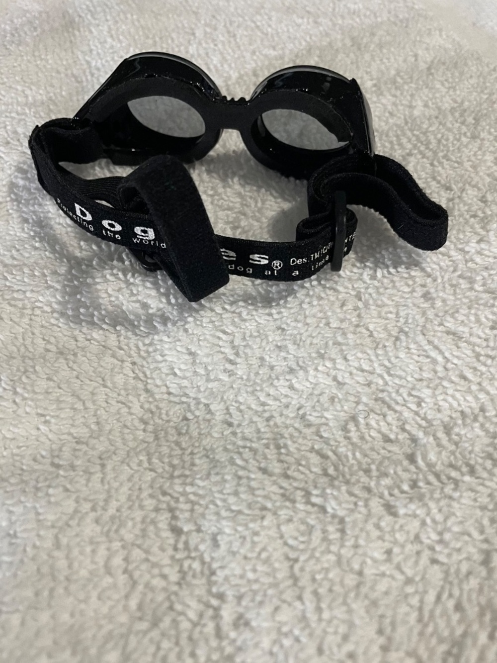 Doggles - Picture 3 of 3